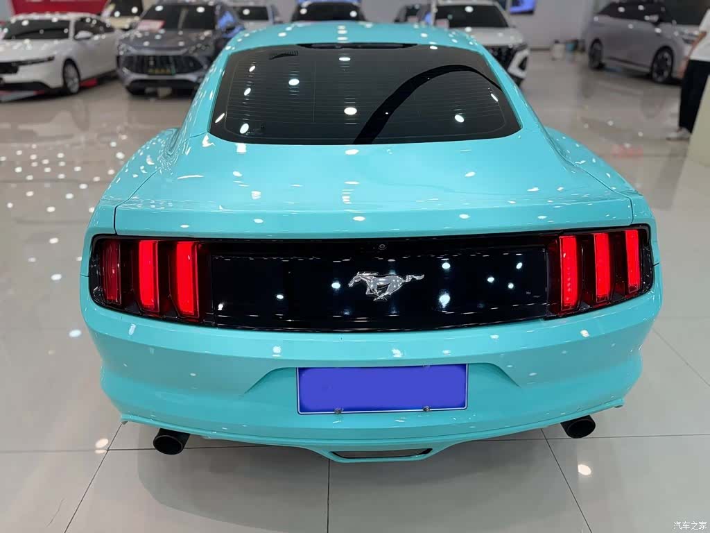Ford Mustang, 2015 14