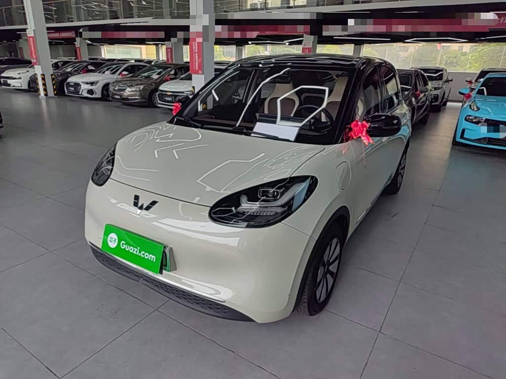 Wuling Binguo 2023 333km Enjoy