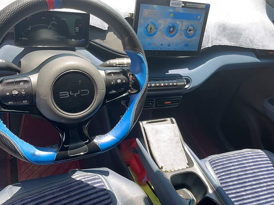 BYD Seagull