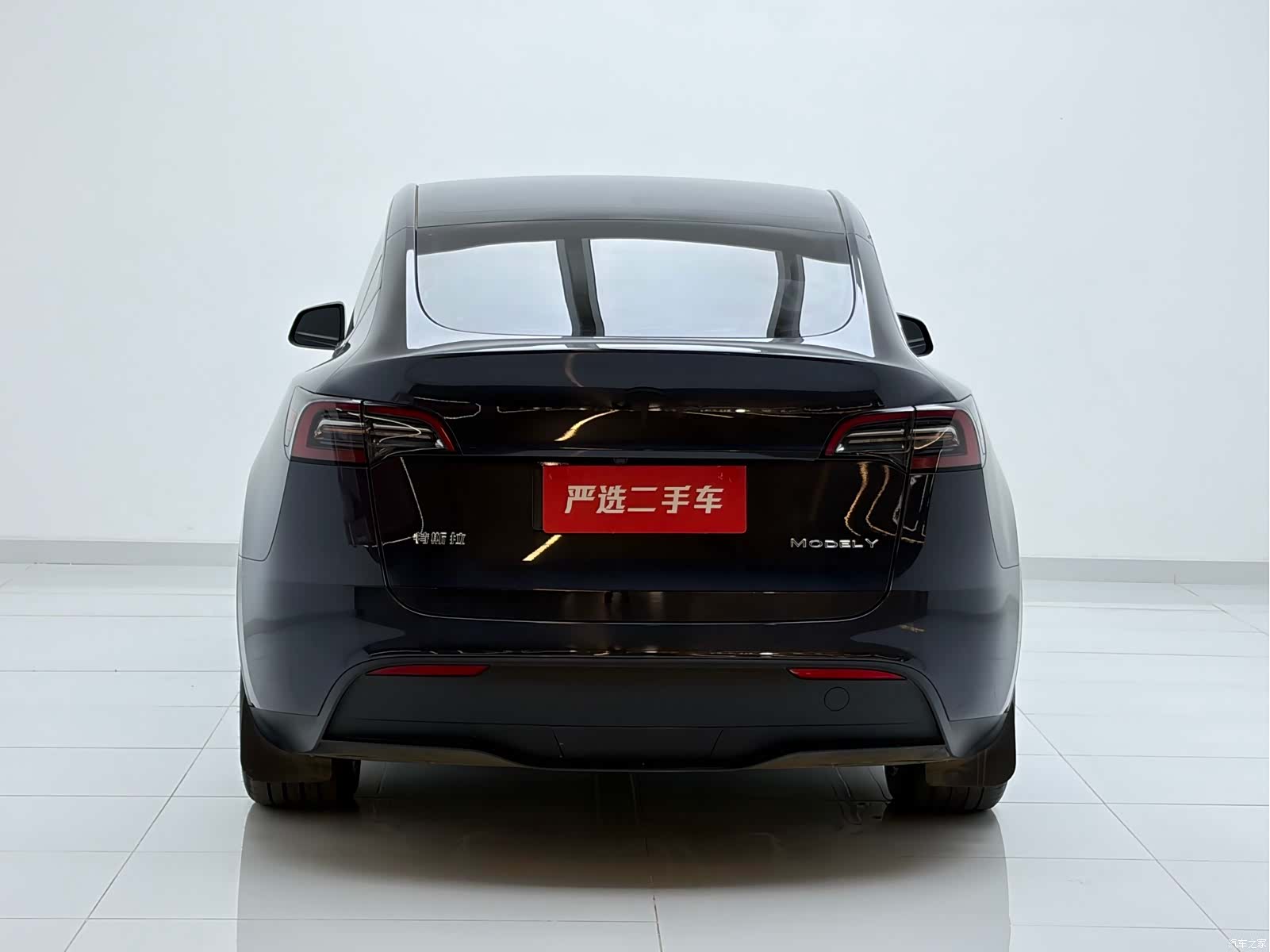Tesla Model Y, 2024 10