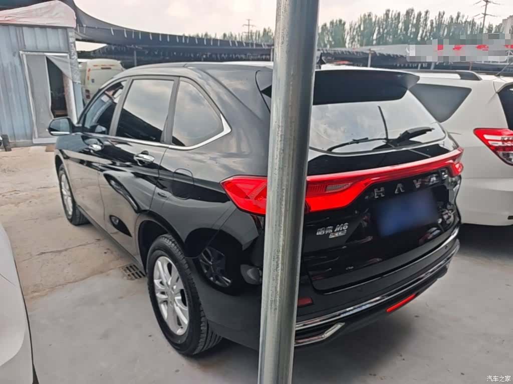 Haval M6, 2024 все фото