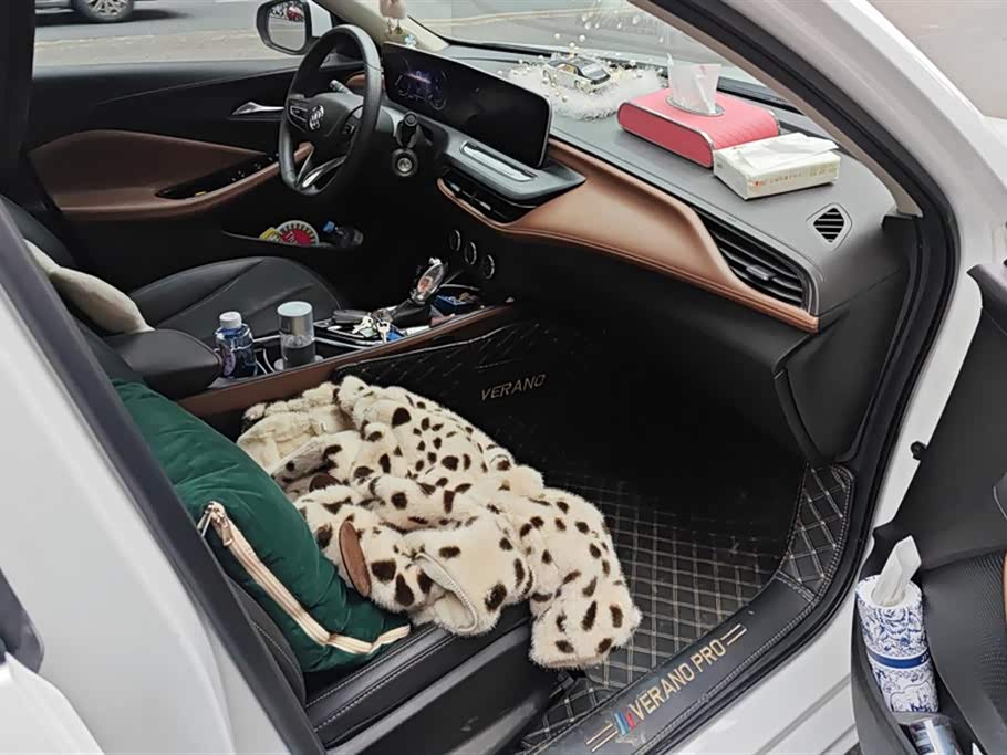 Buick Weilang