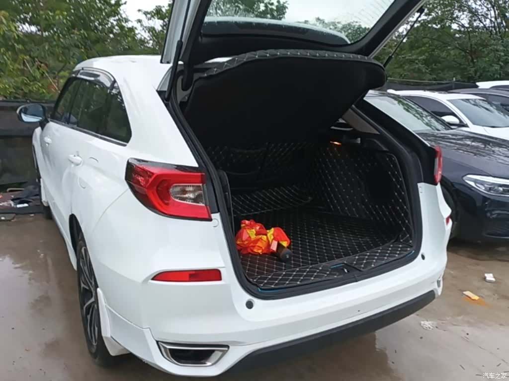 Honda Avancier, 2018 все фото