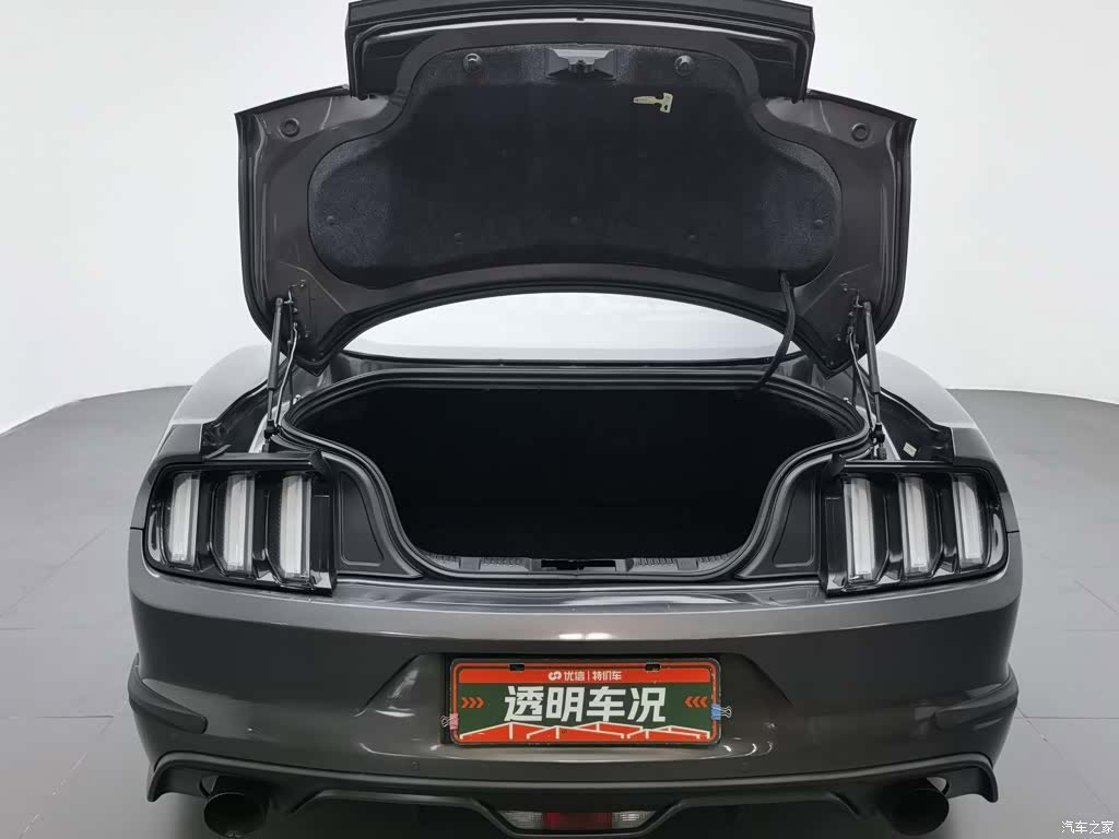 Ford Mustang, 2017 16
