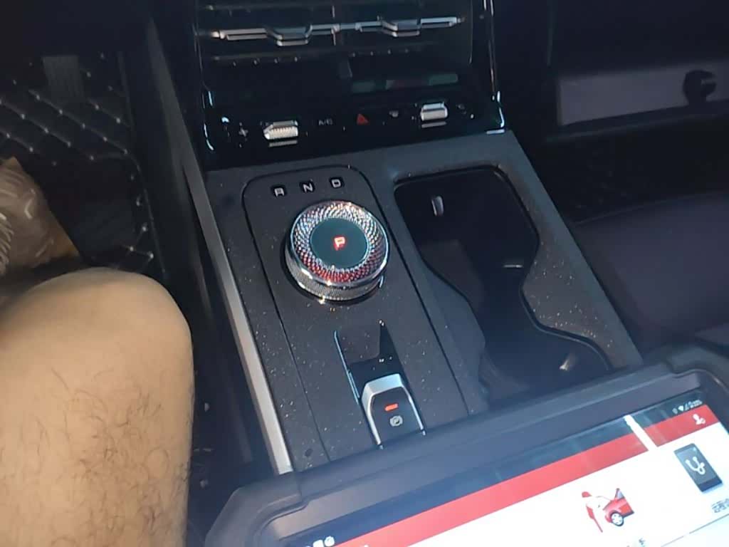 Wuling Starlight, 2024 14