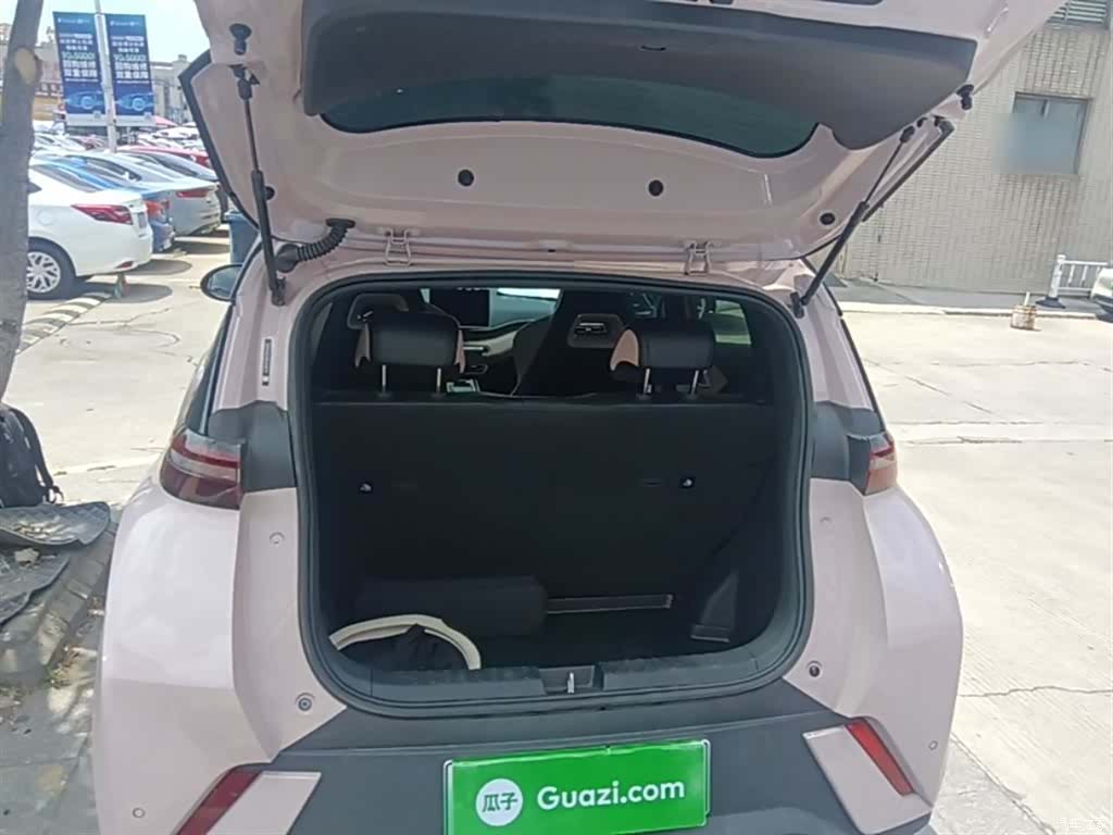 BYD Seagull, 2024 19