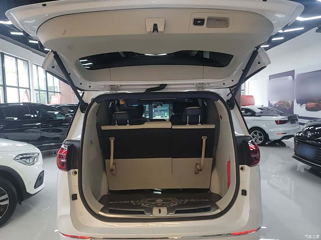 Buick GL8, 2021 19