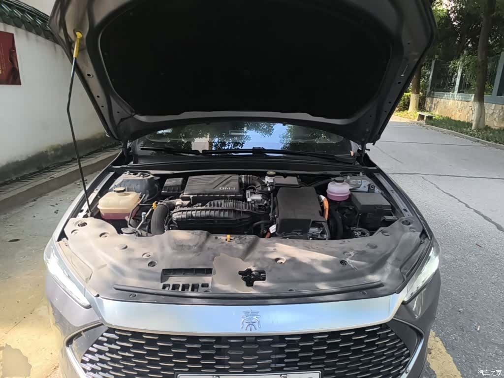 BYD Qin, 2024 20