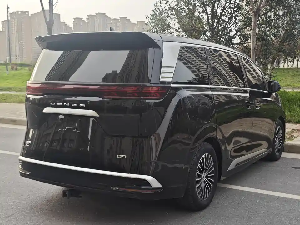 Denza D9