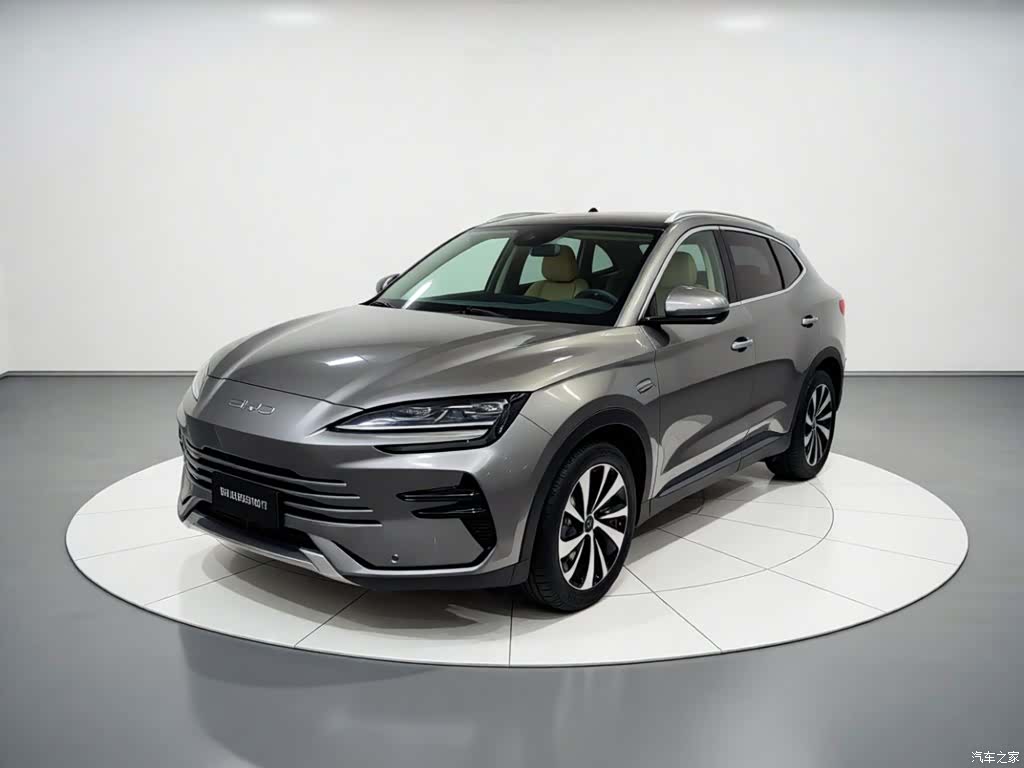 BYD Song, 2024 1