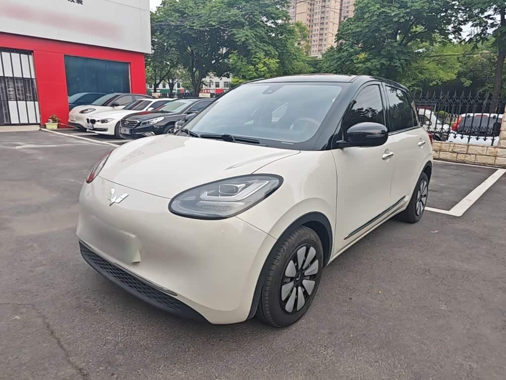 Wuling Binguo