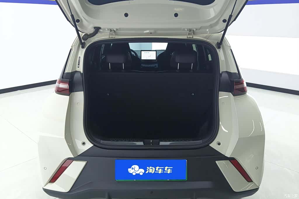 BYD Seagull, 2024 4