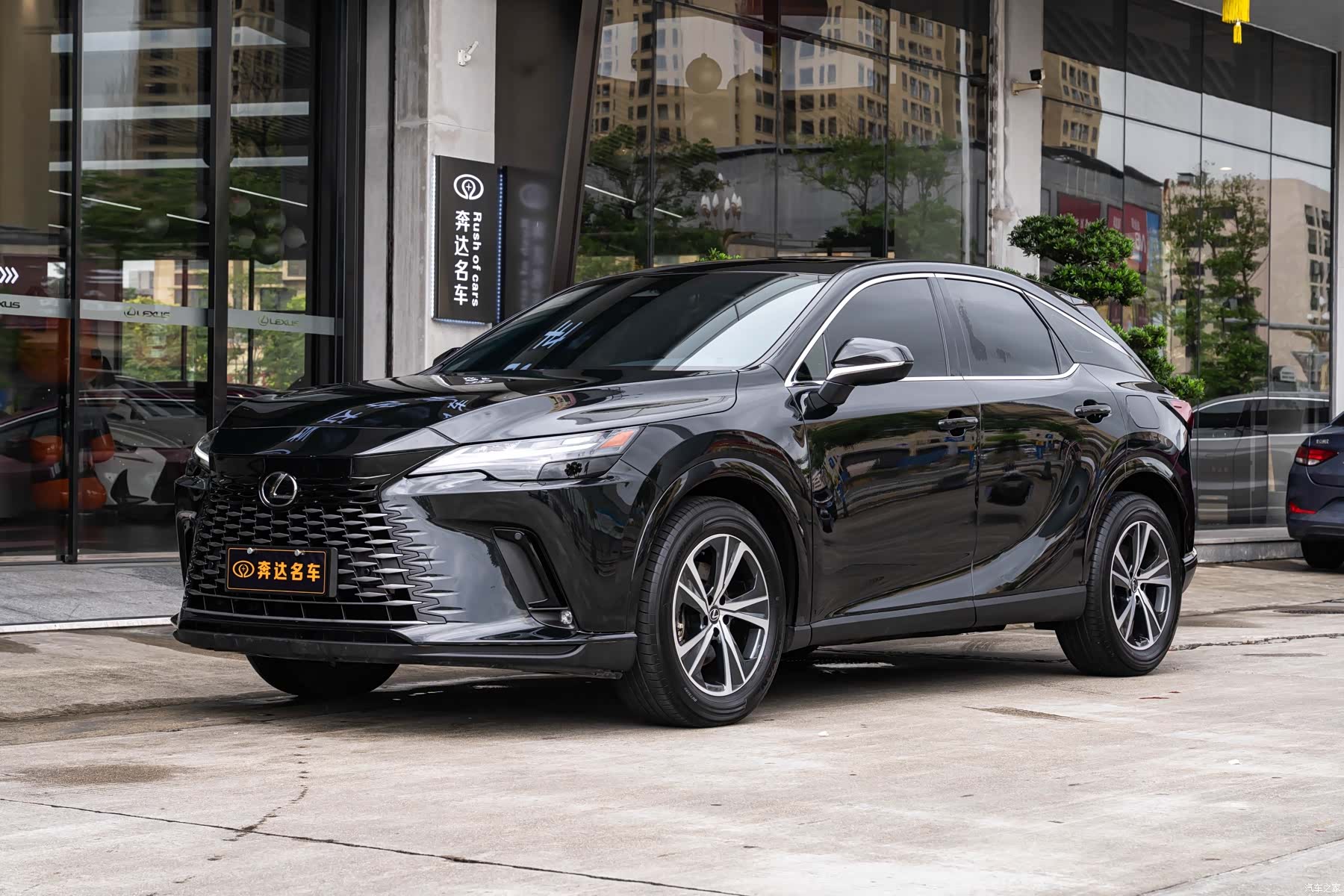 Lexus RX, 2025 1