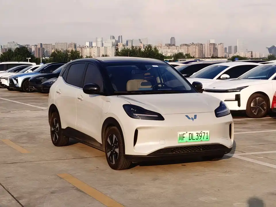 Wuling Wuling Bingguo PLUS