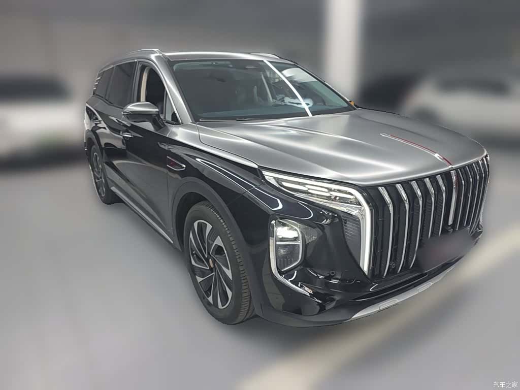 Hongqi HS7, 2025 7
