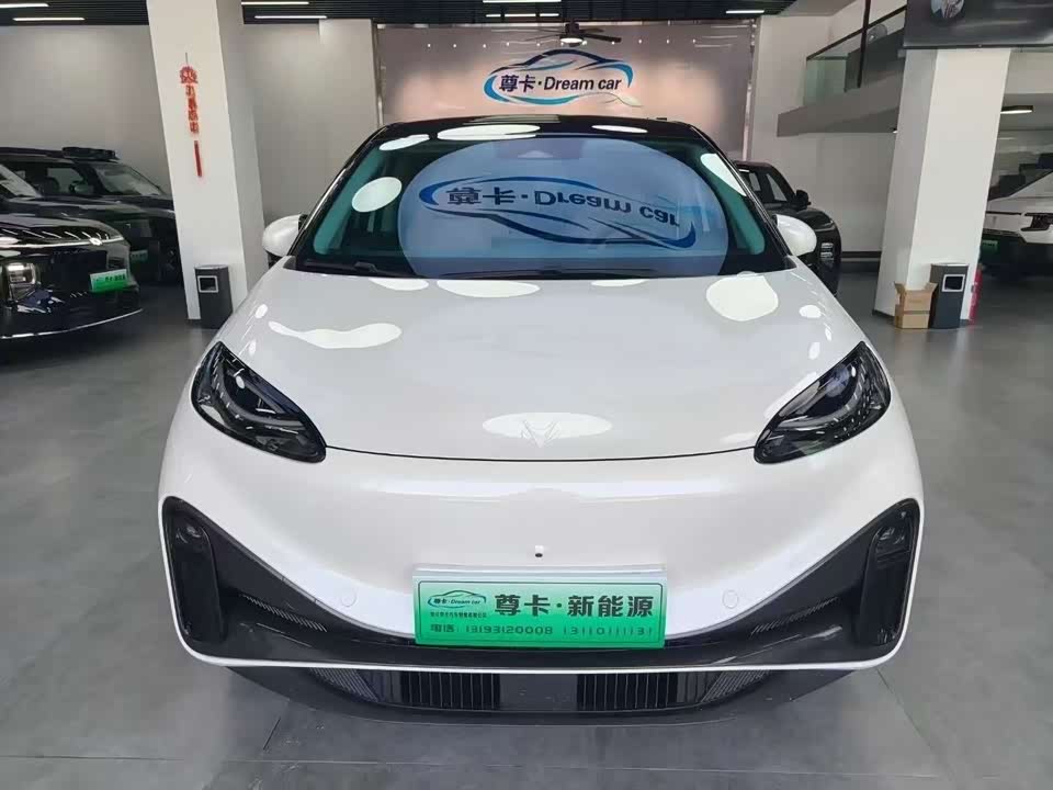 ARCFOX Polar fox koala