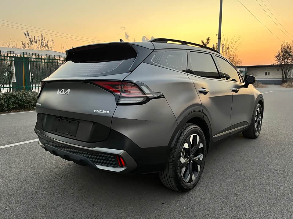 Kia Lion Platinum expands the world