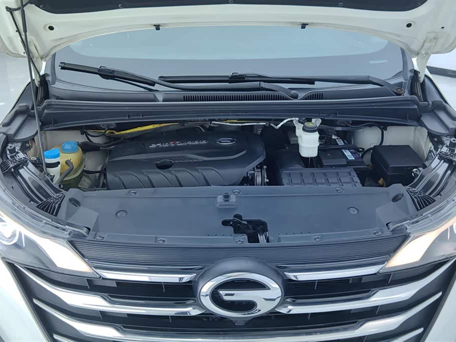 Trumpchi Trumpchi M6