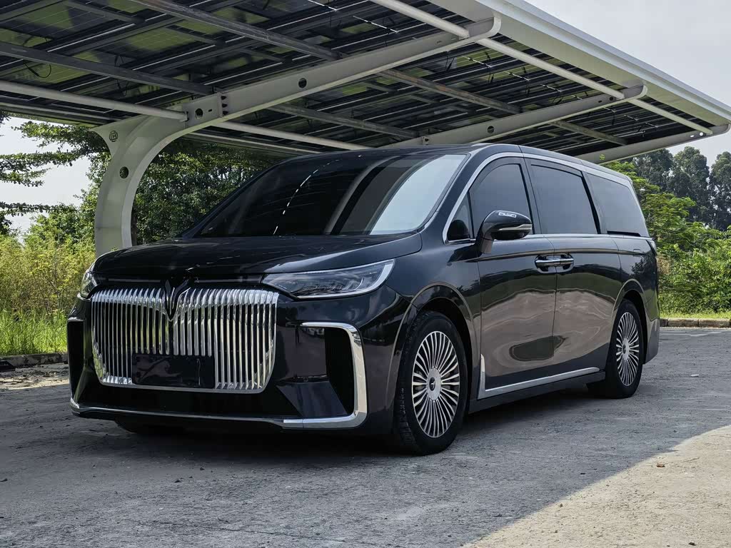 Voyah 2025 PHEV Flagship