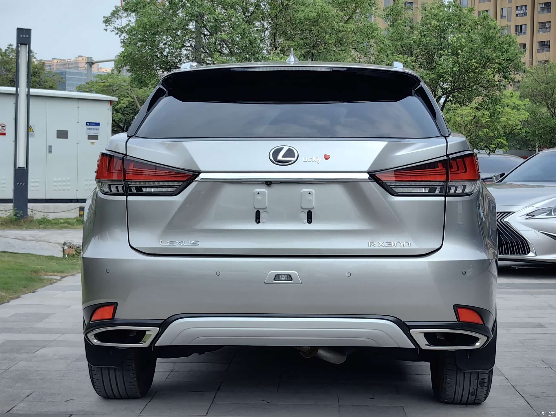 Lexus RX, 2022 все фото