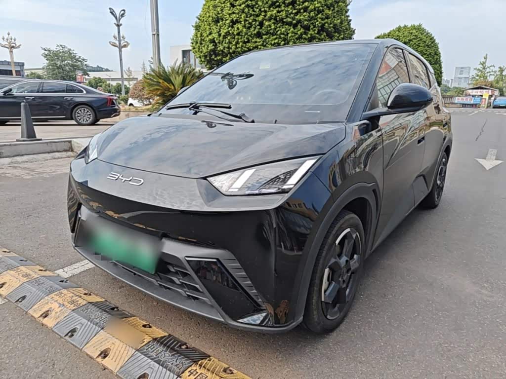 BYD Seagull
