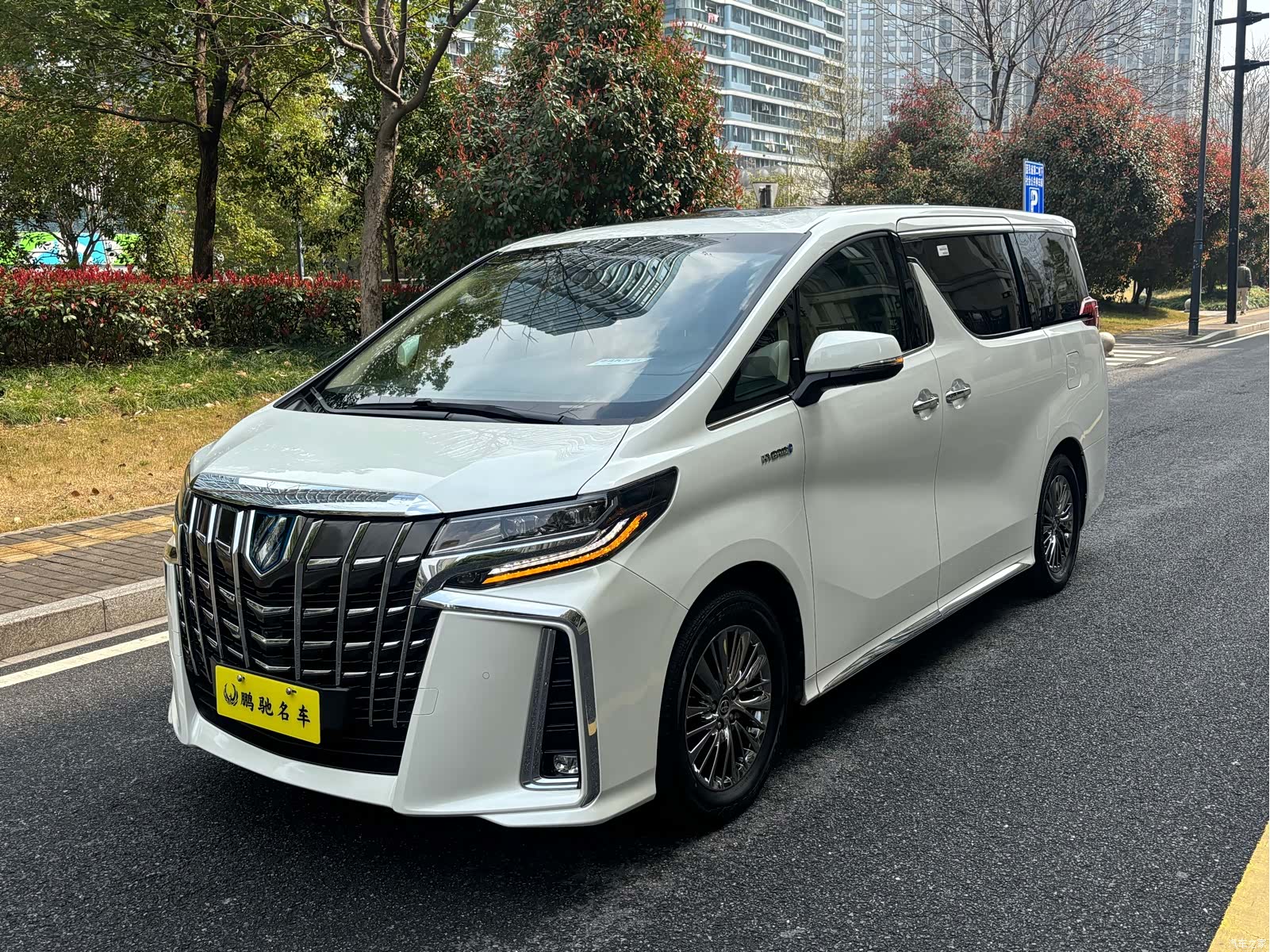 Toyota Alphard, 2023 3