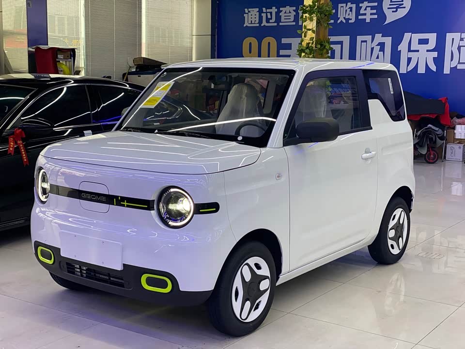 Geely Galaxy panda
