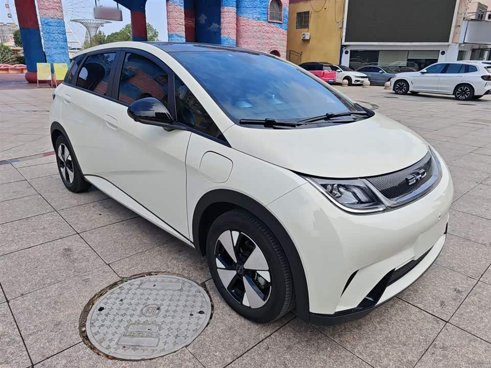 BYD dolphin