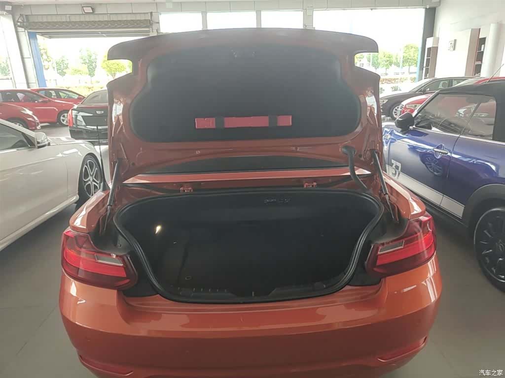 BMW 2 Series, 2017 19