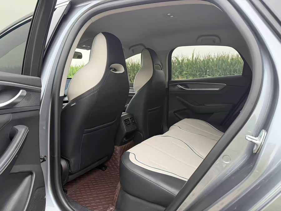 BYD Destroyer 05 2024, фото 8