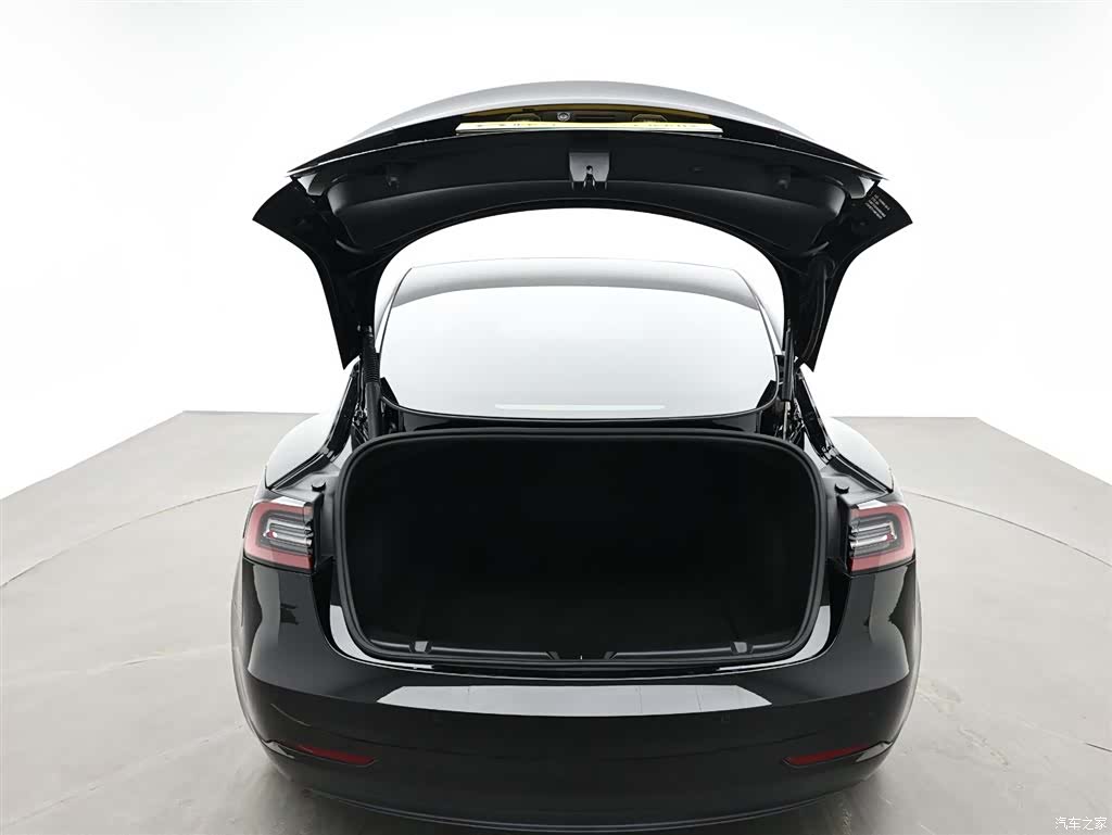 Tesla Model 3, 2021 10