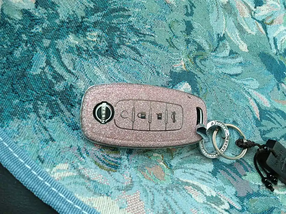 Nissan Exploring the land