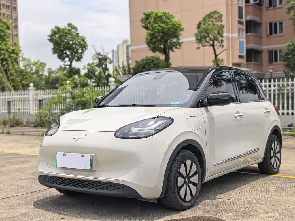 Wuling Binguo