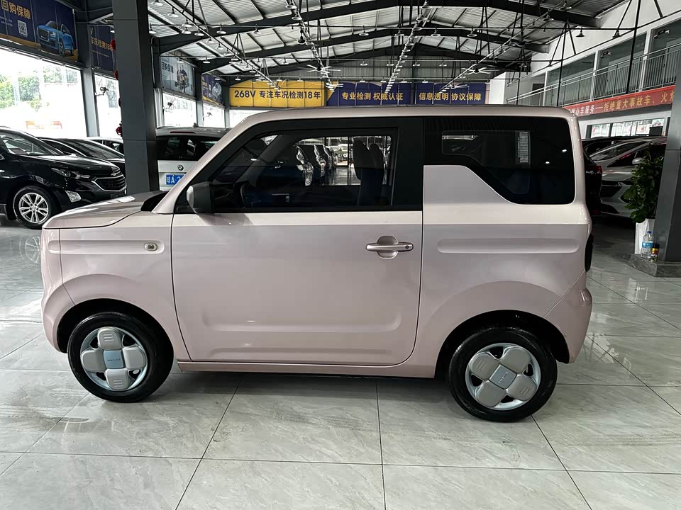 Geely Galaxy panda Geely Galaxy panda