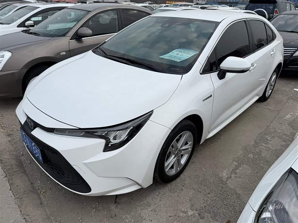Toyota Lei Ling