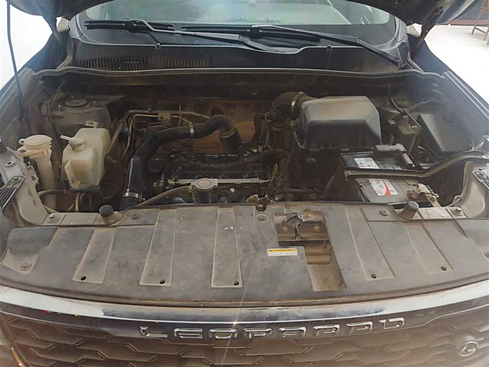 Leopaard Cheetah CS10