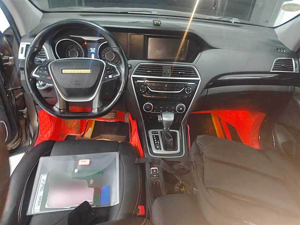 Leopaard Cheetah CS10