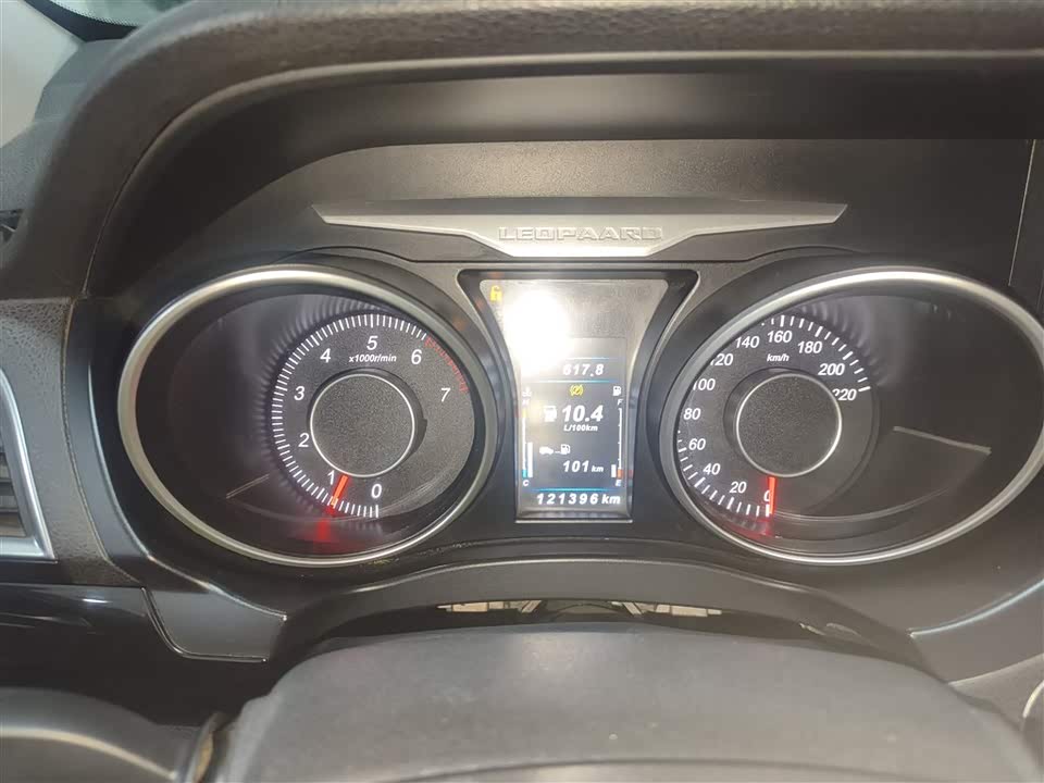 Leopaard Cheetah CS10