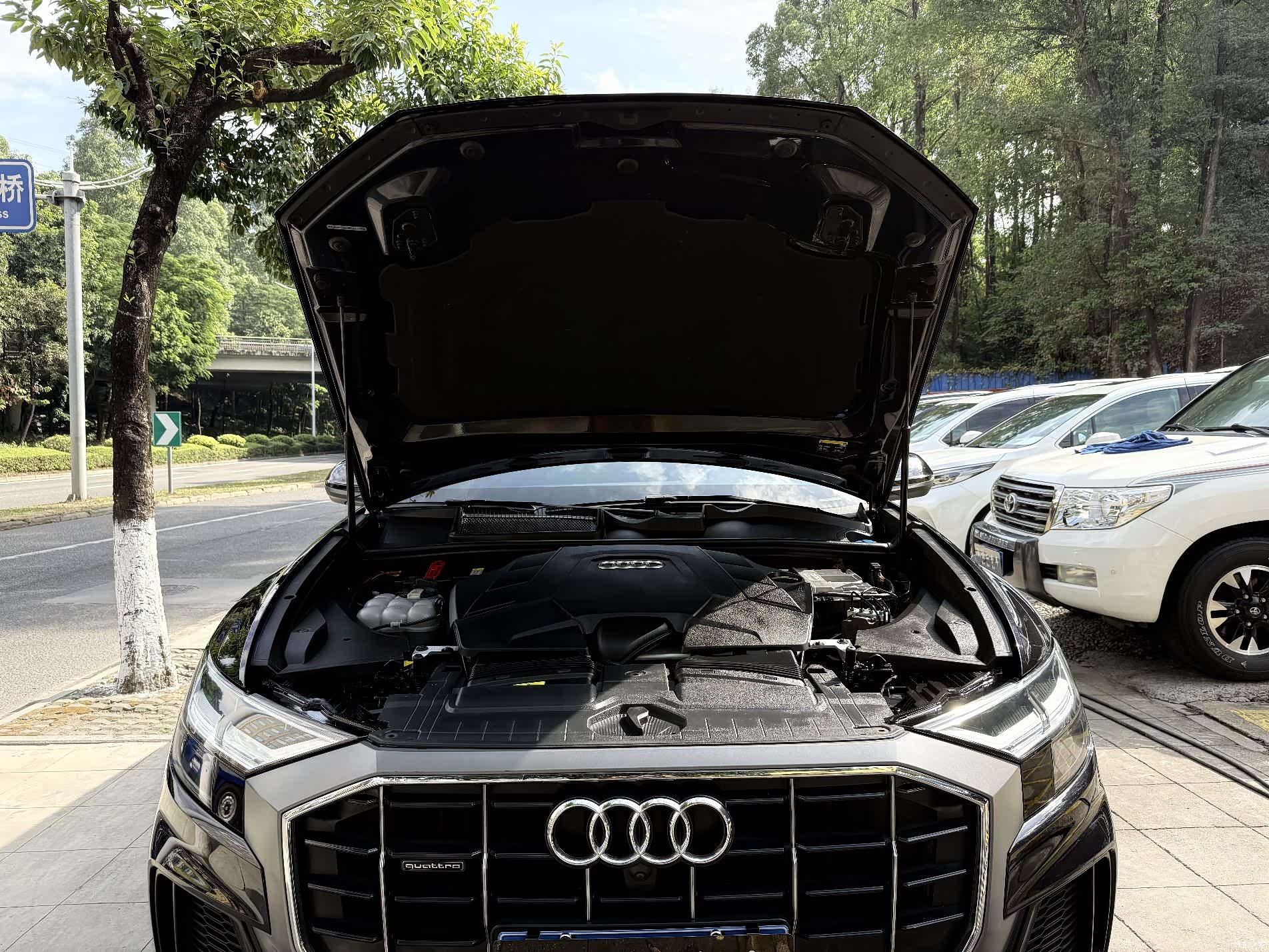 Audi Q8, 2021 17