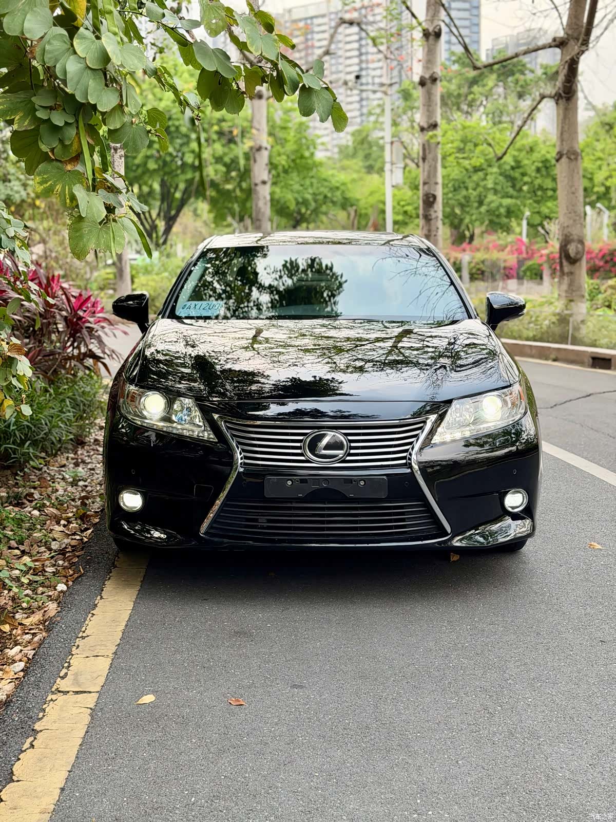 Lexus ES, 2014 все фото
