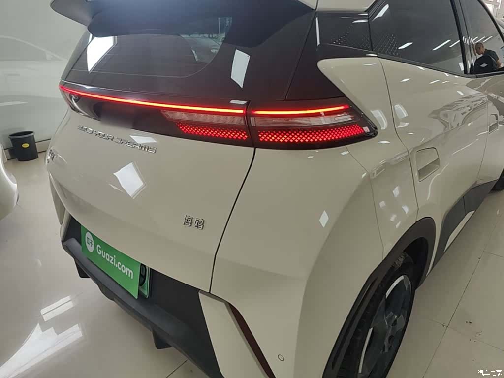 BYD Seagull, 2024 8