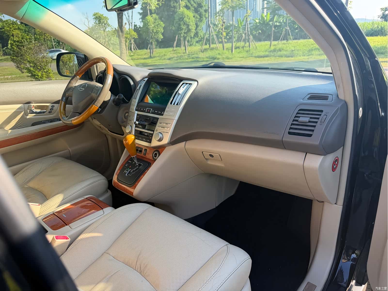 Lexus RX, 2007 20