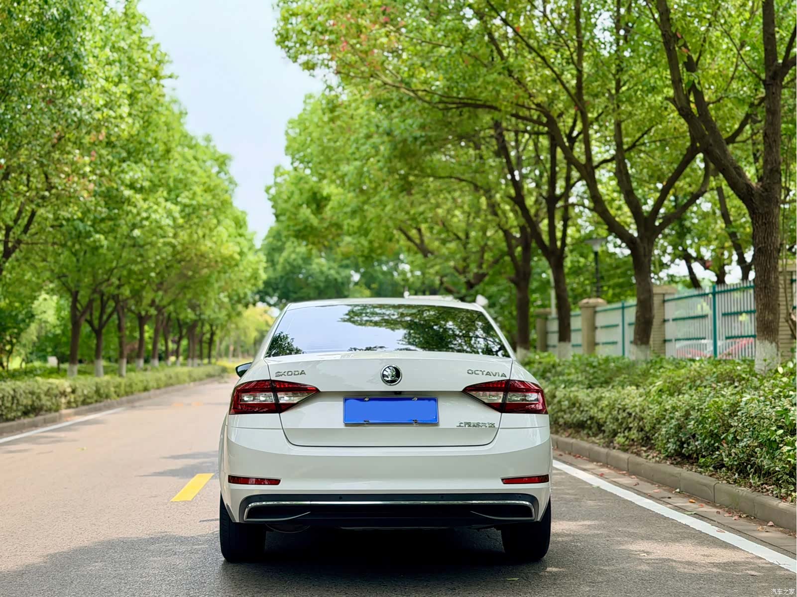 Skoda Octavia, 2018 17
