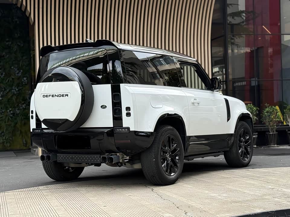 Land Rover guard
