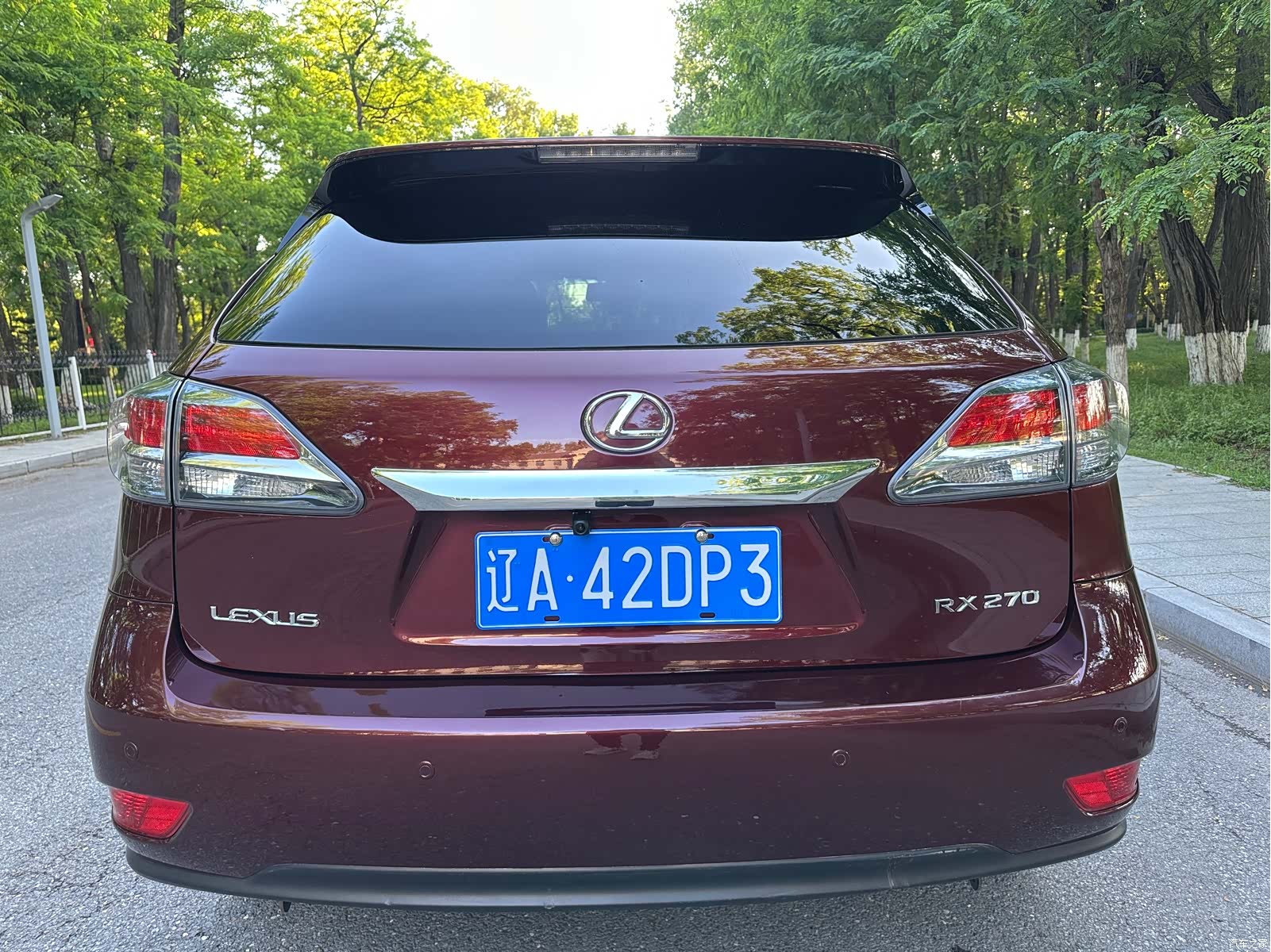 Lexus RX, 2014 6