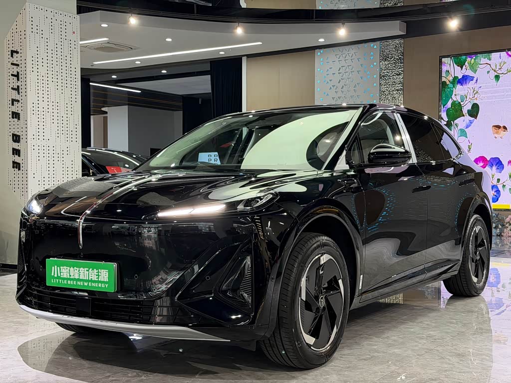 Hongqi 06