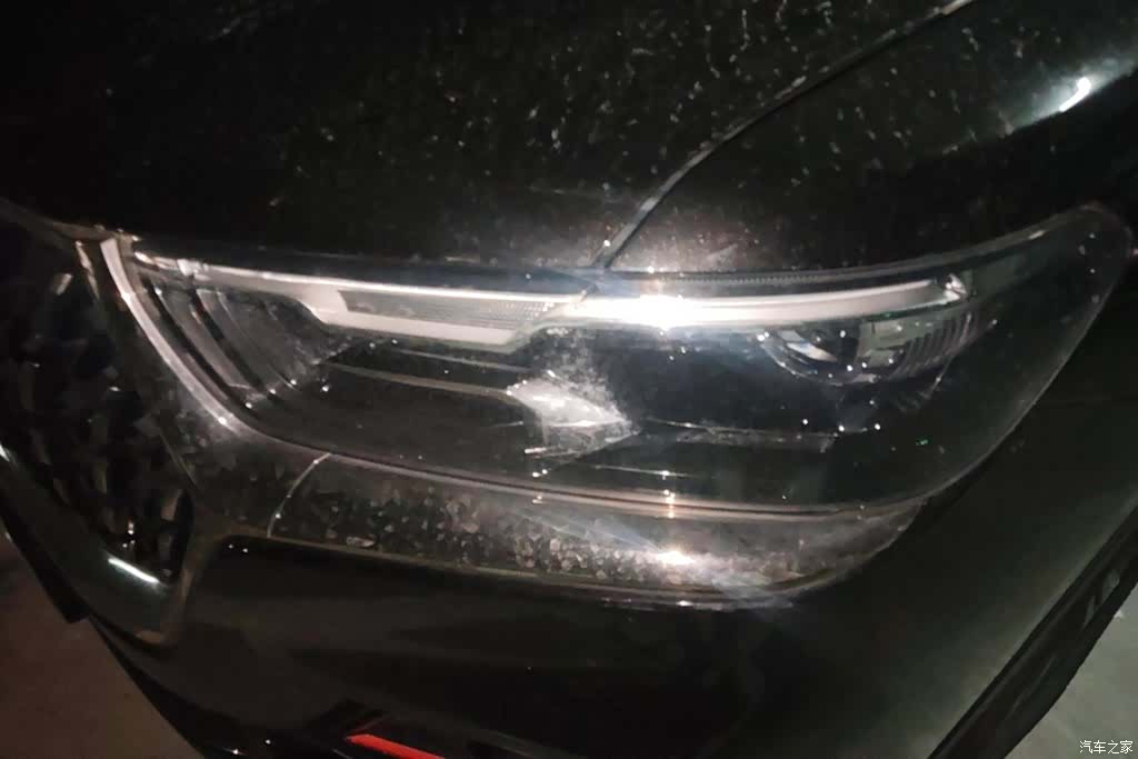 Haval H6, 2022 все фото