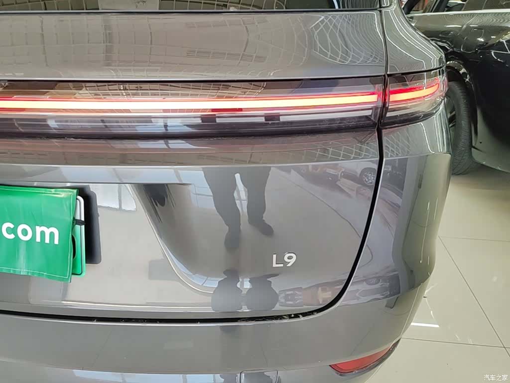 Li Auto L9, 2023 8