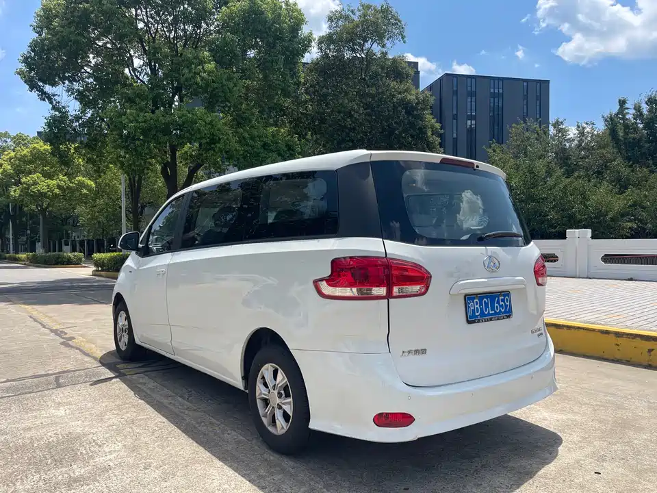 MAXUS Chase G10