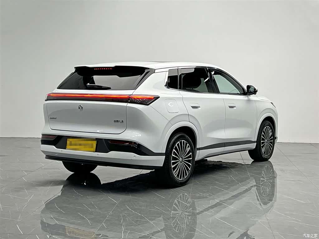 DongFeng L8, 2025 6